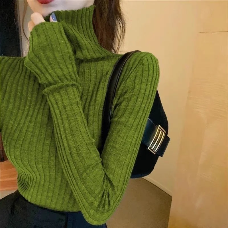 Wjczt outfit ideas winter Autumn and Winter Elegant Pile Collar Sweater Women's Inner Matching Coat Slim Bottoming Pullover Turtleneck Sweater Top Transparent Opaque Sheer